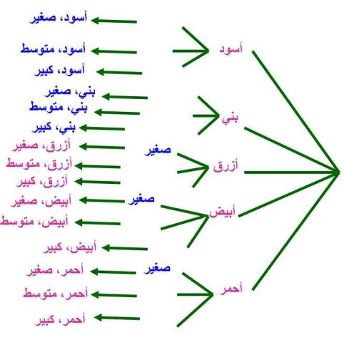 مخطط شجري