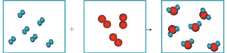  الرسم التوضيحي  تفاعل 6 جزيئات