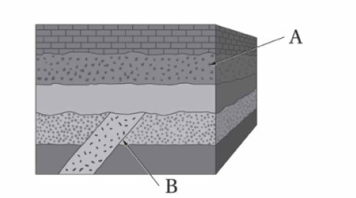 تحديد العمر النسبي