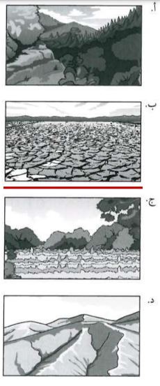 اختر الاجابة الصحيحة