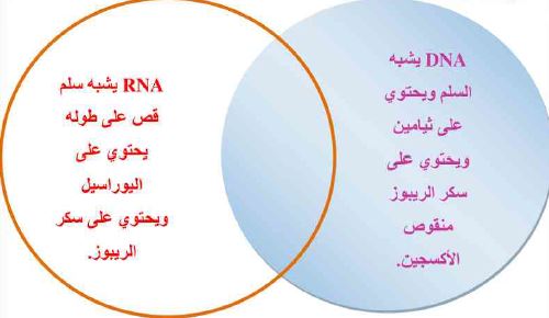 خريطة مفاهيمية