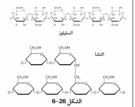 الشكل 26-6