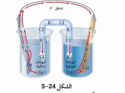 الشكل 24-5