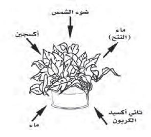 عملية التمثيل الضوئي