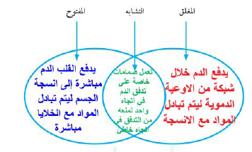 الاختلاف بين جهاز الدوران المغلق والمفتوح